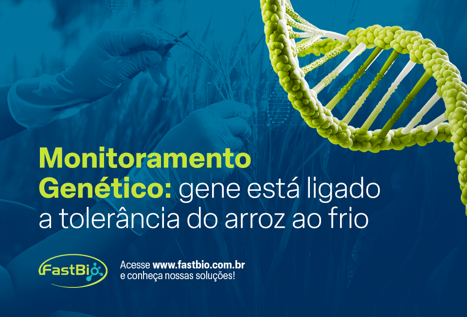 melhoramento genético