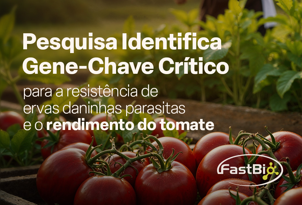 melhoramento genético
