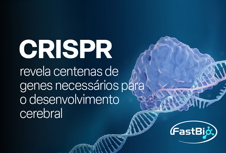 CRISPR e neurodesenvolvimento: triagem genômica em larga escala
