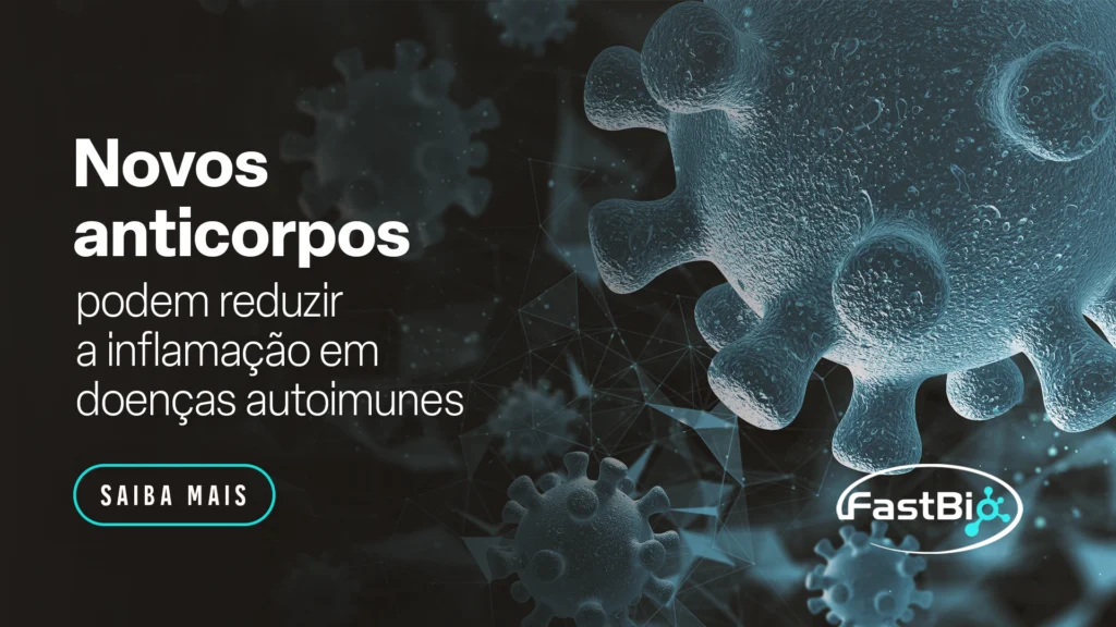 Novos anticorpos podem reduzir a inflamação em doenças autoimunes