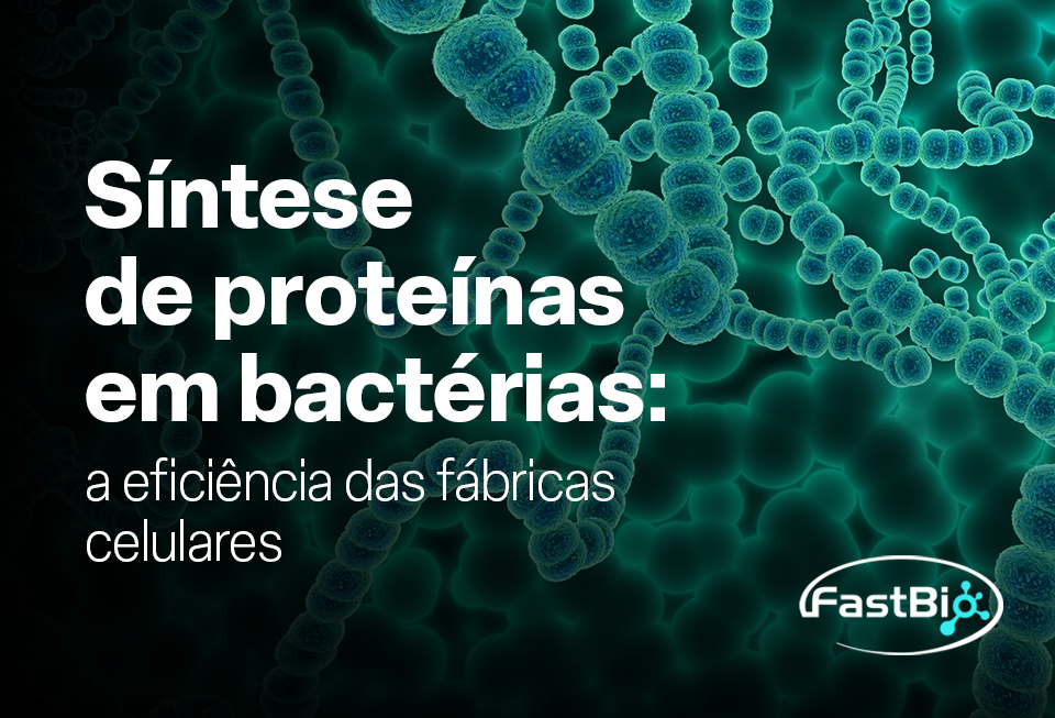 Síntese de proteínas em bactérias: a eficiência das fábricas celulares