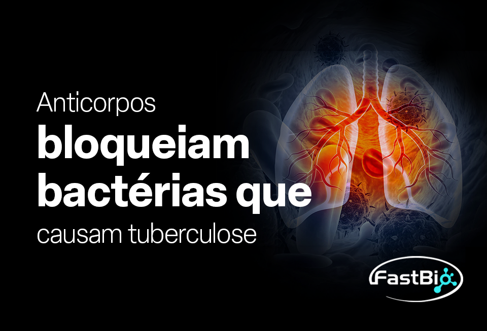Anticorpos personalizados e engenharia de IgG